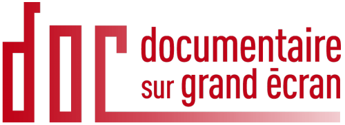 http://www.docsurgrandecran.fr/