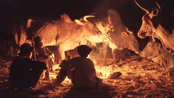 40 ans de cinéma en atelier / Ouverture