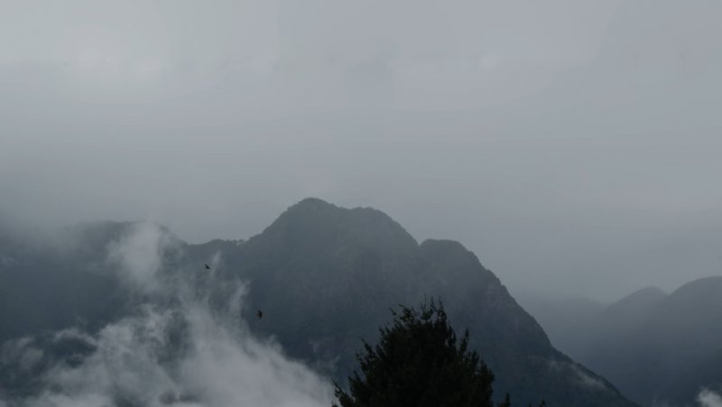 Les Enfants sans terre